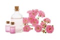 Roses water or oil in glass bottles and pink flowers isolated on white Royalty Free Stock Photo