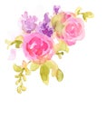 Roses Watercolor Flowers Illustration Hand Painted Royalty Free Stock Photo