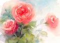 Roses Watercolor Flowers Illustration Hand Painted Royalty Free Stock Photo