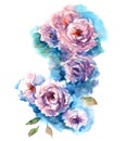 Roses watercolor sketch Royalty Free Stock Photo