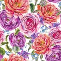 Roses Watercolor Vintage Floral Seamless Pattern, Watercolor Bouquet of Red Roses and Wildflowers Royalty Free Stock Photo