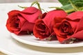 Roses on a white plate. Romantic composition for Valentine`s Day, Anniversary, Events. Place for text Royalty Free Stock Photo