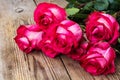 Roses on a wooden background Royalty Free Stock Photo