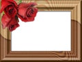 Roses on a wooden framework Royalty Free Stock Photo