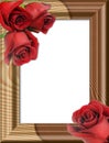Roses on a wooden framework Royalty Free Stock Photo