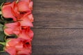 Roses on a wooden surface