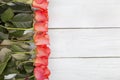 Roses on a wooden surface