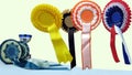 Rosette Award Ribbons