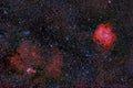 Rosette and cone nebulae in the milky way