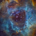 The Rosette Nebula (also known as Caldwell 49).
