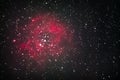 Rosette Nebula Royalty Free Stock Photo