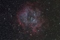 Rosette nebula Royalty Free Stock Photo