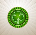 St. Patricks Day Rosette Ribbon