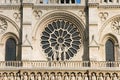 Rosettes of Notre Dame cathedral