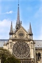 Rosettes from Notre Dame Cathedrale