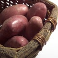 Roseval Potato, Solanum tuberosum, Vegetables in Basket Royalty Free Stock Photo