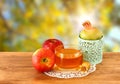 Rosh hashanah concept - apple honey and pomegranate over wooden table Royalty Free Stock Photo