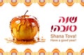Rosh hashanah greeting card - Jewish New Year, Greeting text Shana tova on Hebrew Royalty Free Stock Photo