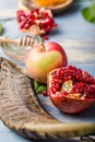 Rosh hashanah  Hashana - jewish New Year holiday concept. Traditional symbols: Honey jar and fresh apples with pomegranate and Royalty Free Stock Photo