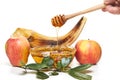 Rosh hashanah - jewish new year holiday concept. An apple-shaped bowl with honey, apples, a shofar are traditional Royalty Free Stock Photo