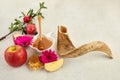 Rosh hashanah, jewish New Year holiday concept. Pomegranate, apples and honey traditional products for celebration Royalty Free Stock Photo