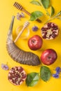 Rosh hashanah - jewish New Year holiday concept. Traditional symbols: Honey jar and fresh apples with pomegranate and shofar -horn Royalty Free Stock Photo