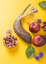 Rosh hashanah - jewish New Year holiday concept. Traditional symbols: Honey jar and fresh apples with pomegranate and shofar -horn Royalty Free Stock Photo