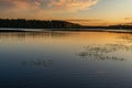 Roshchinsky lake in the bronze rays of the setting sun, peace and quiet. Royalty Free Stock Photo