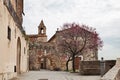 Rosignano Marittimo, Livorno, Tuscany, Italy. The ancient church and the gateway to Royalty Free Stock Photo