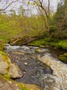 Roslin Glen Royalty Free Stock Photo