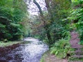 Roslyn Glen, Scotland