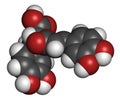 rosmarinic acid herbal antioxidant molecule. Present in a number of plants including rosemary Rosmarinus officinalis. 3D.