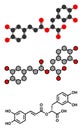 rosmarinic acid herbal antioxidant molecule. Present in a number of plants including rosemary (Rosmarinus officinalis