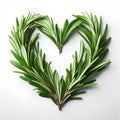 rosmary leaves herb heart shape isolated on white background