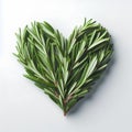 rosmary leaves herb heart shape isolated on white background