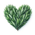 rosmary leaves herb heart shape isolated on white background