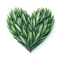 rosmary leaves herb heart shape isolated on white background Royalty Free Stock Photo