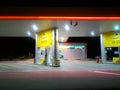 Rosneft company gas station