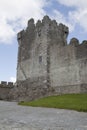 Ross castle Caislean Ross Killarney Ireland