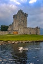 Ross Castle Killarney Kerry Ireland medieval birds reflection swan lake Royalty Free Stock Photo