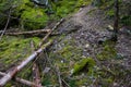 Ross Dam Trail mountains at North Cascades National Park in Washington State during Summer Royalty Free Stock Photo