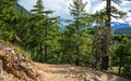 Ross Dam Trail at North Cascades National Park in Washington State during Spring Royalty Free Stock Photo