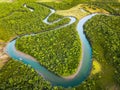 Ross River meandering through the mangroves