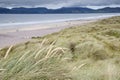 Rossbeigh Beach, County Kerry;