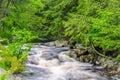 Rosseau River Scene