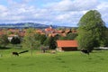 Rosshaupten is a village near Fussen, Bavaria, Germany.cows in the foreground and the Auerberg forms the background