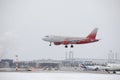 Rossiya - Russian Airlines Airbus A319-100 VP-BIS landing on snowy airport Royalty Free Stock Photo