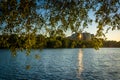 The Rosslyn skyline seen through trees at sunset, from the Geor Royalty Free Stock Photo