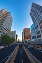 View at morning light of Rosslyn skyscrapers