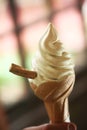 Rost curled tail cream,ice cream Royalty Free Stock Photo